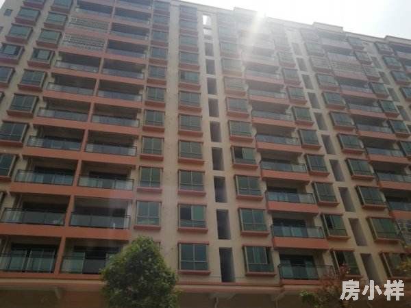 深圳的小產權房靠譜嗎？有哪些注意事項？