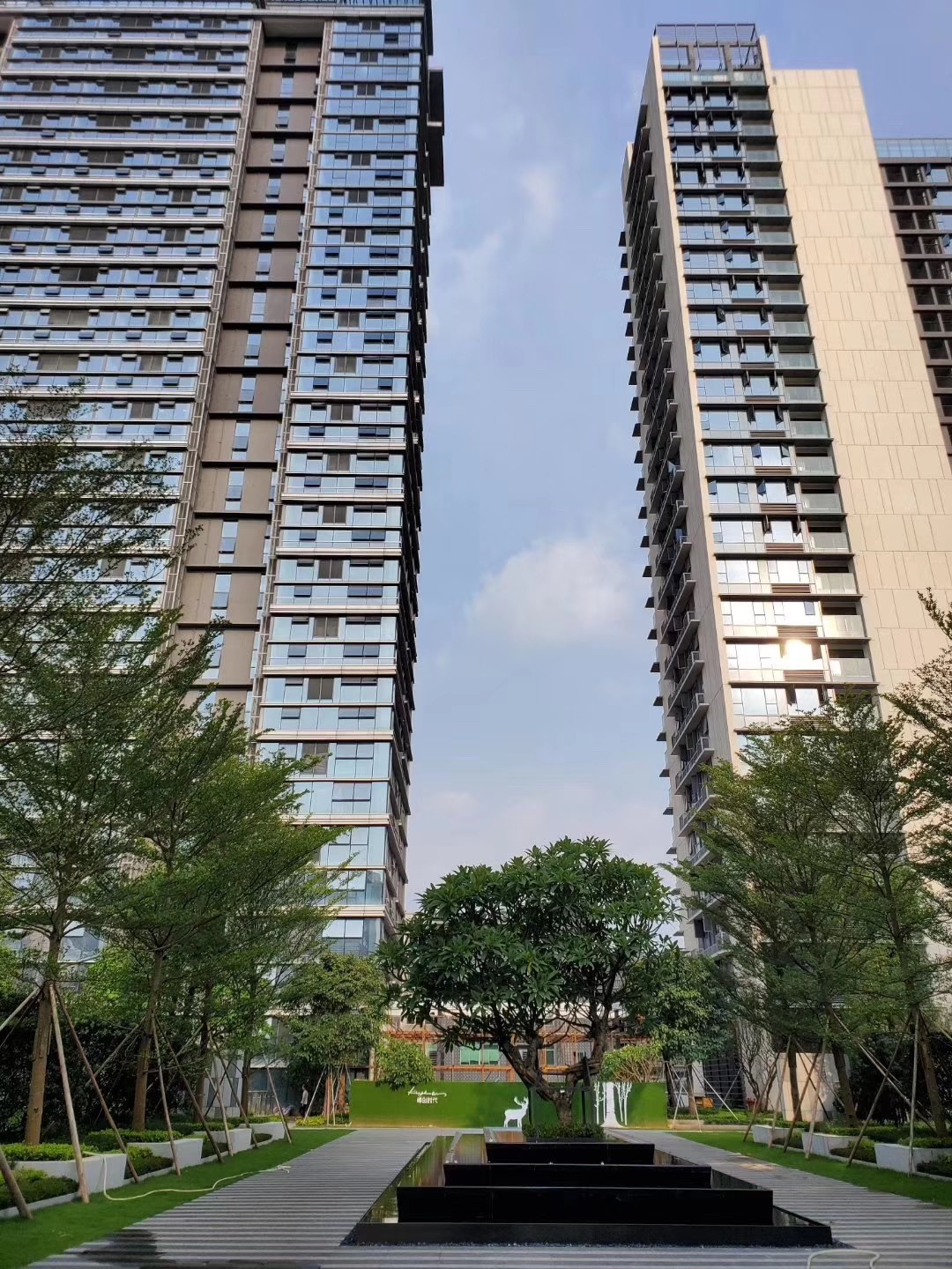 龍華有便宜的大紅本房嗎？價格是多少呢？