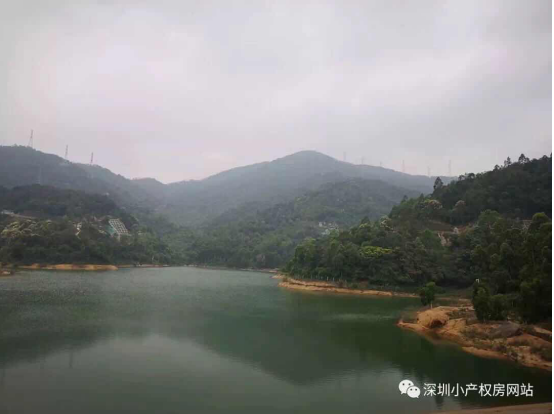 56.8萬入手龍華山水綠園村委統建樓，還在等什么？