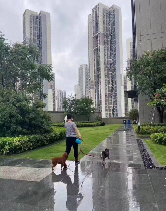 觀瀾新城締造世界級(jí)國(guó)際產(chǎn)業(yè)均價(jià)26500元/平