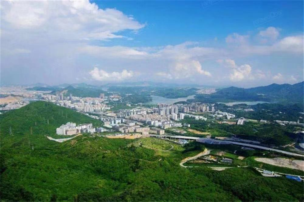 龍華中海明德里均價70000元/平