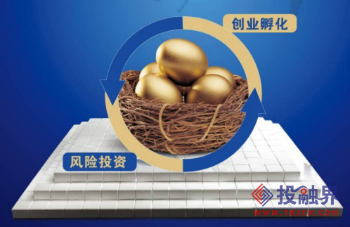 風險投資公司為一專業的投資公司