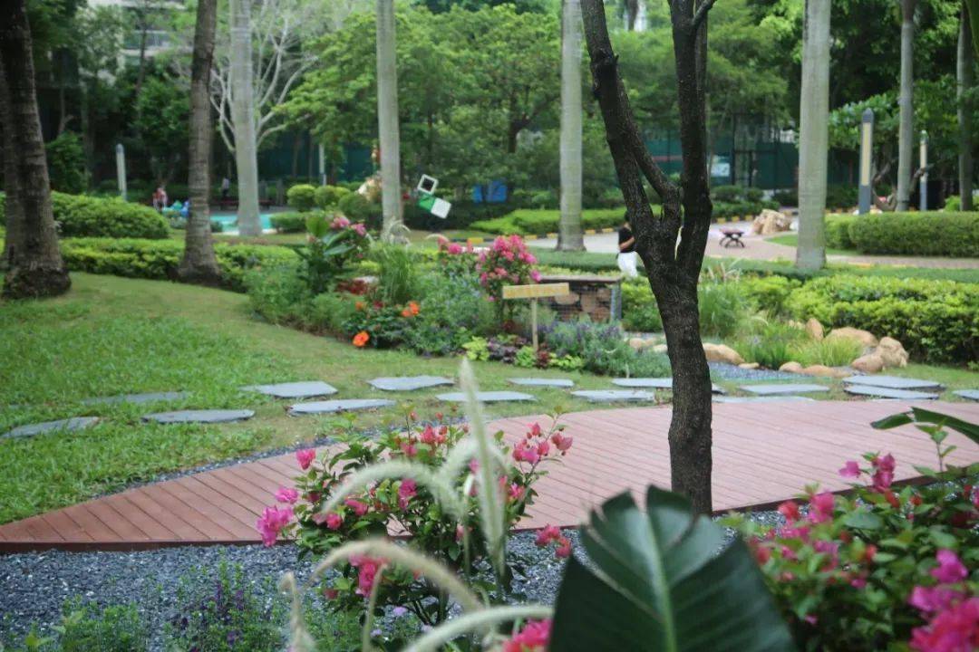 深圳每個區(qū)域的小產(chǎn)權房價格是多少