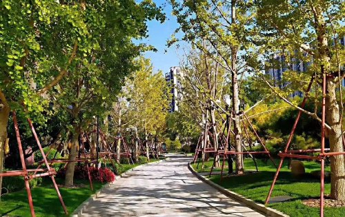 附近有東北師范大學附屬中學朝陽學校