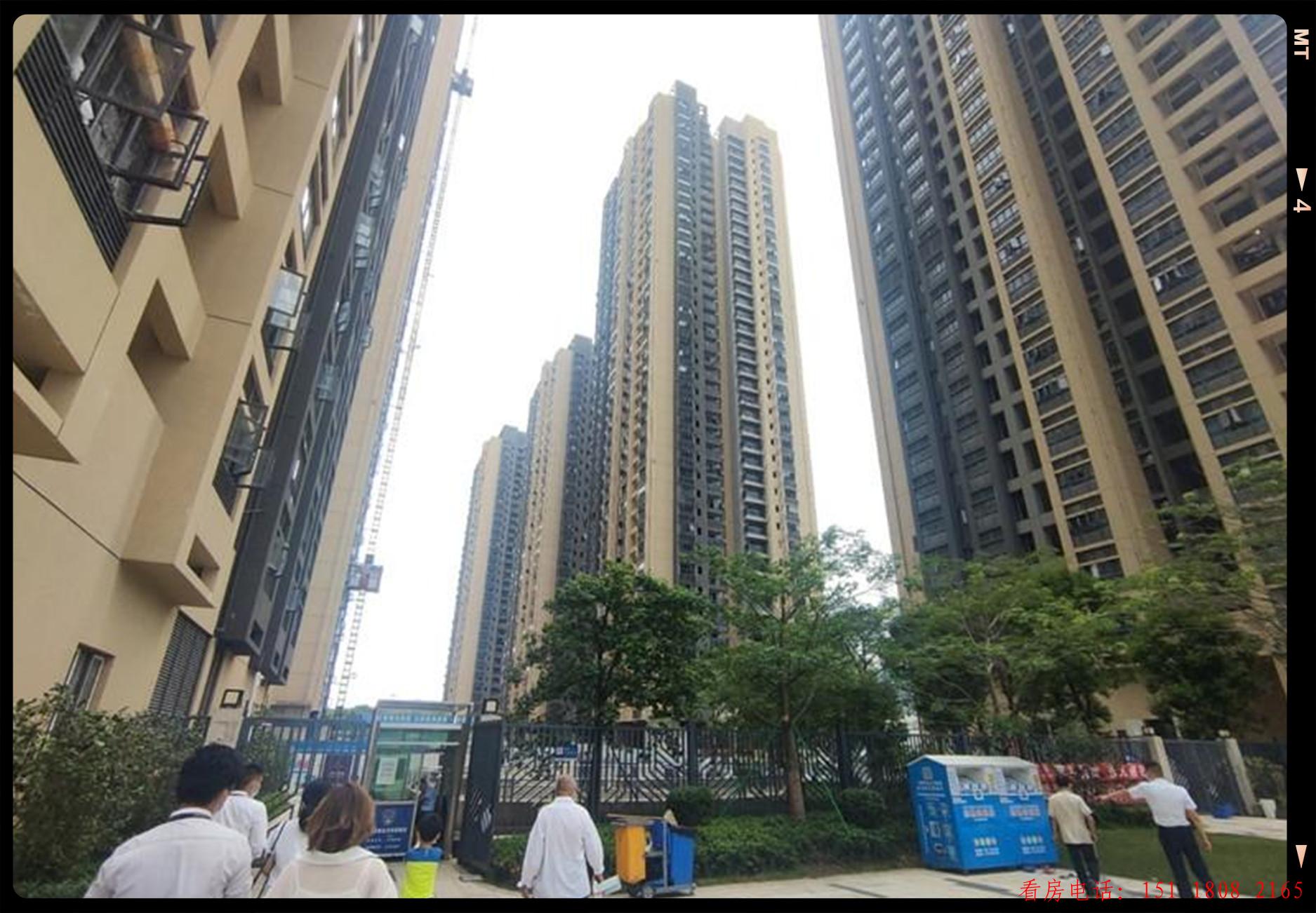 本項目屬花園小區房停車位充足