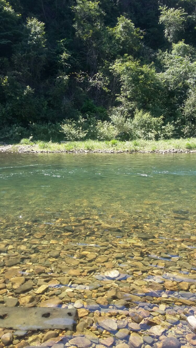 我父親還在這里看了幾年火車站