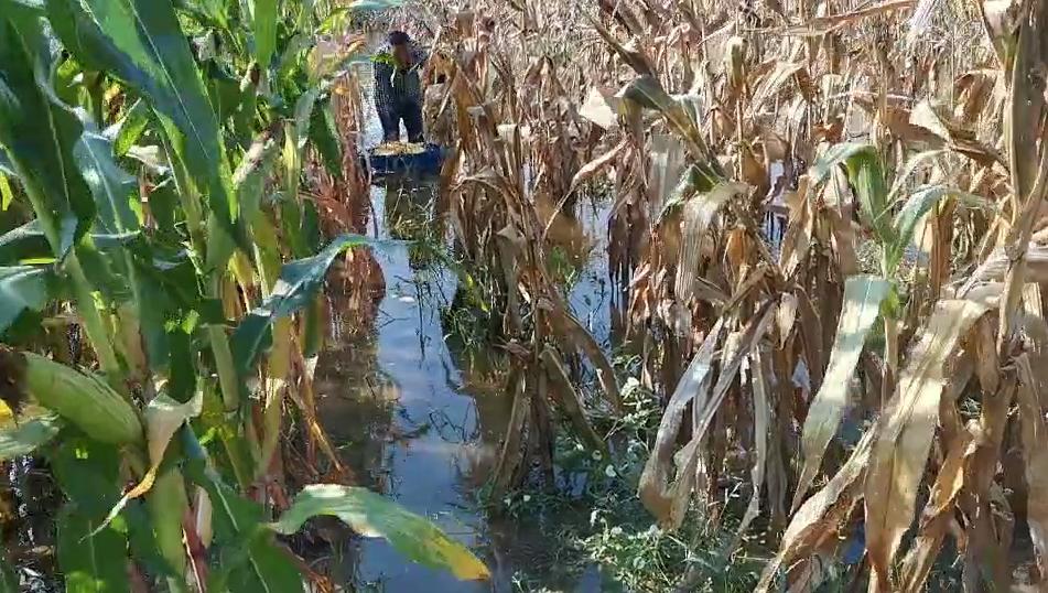 很多先進園區(qū)屬于第四代產(chǎn)業(yè)園區(qū)